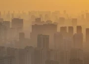 Peluang Investasi Raksasa: China di Bawah Ekspektasi